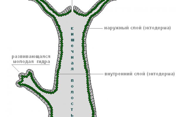 Кракен адрес тор