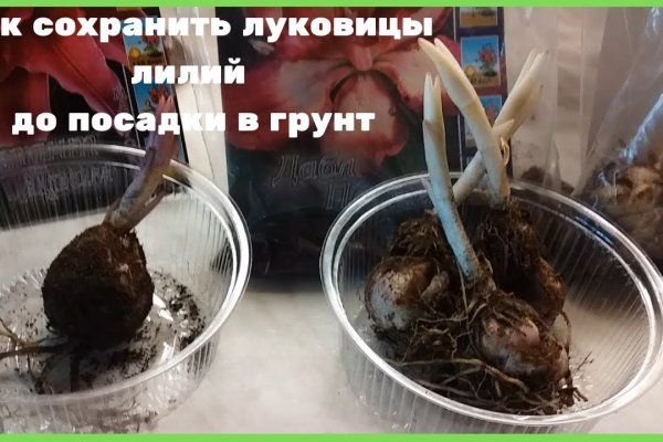 Что такое кракен только через тор