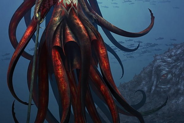 Kraken market