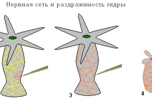 Не могу зайти в кракен
