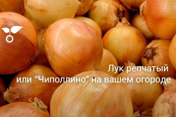 Kraken россия
