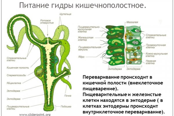Кракен сайт даркнет зеркало