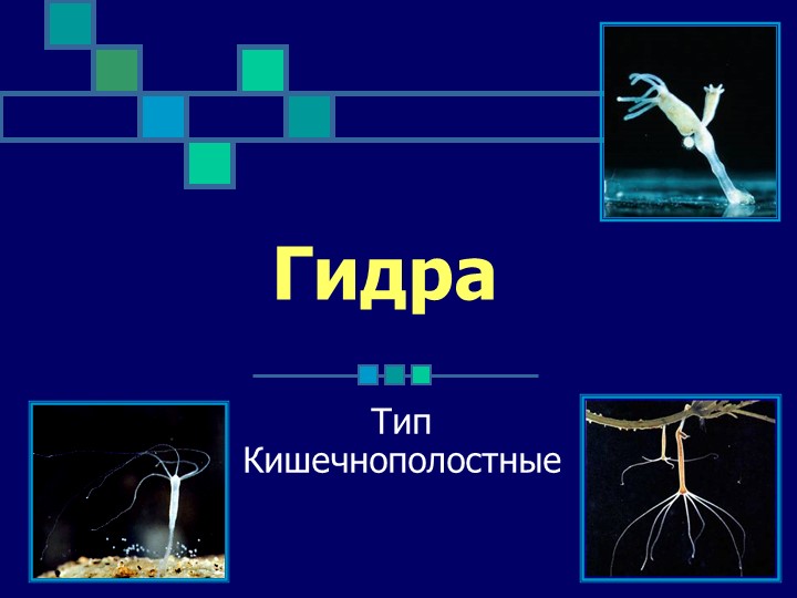 Даркнет официальный сайт на русском