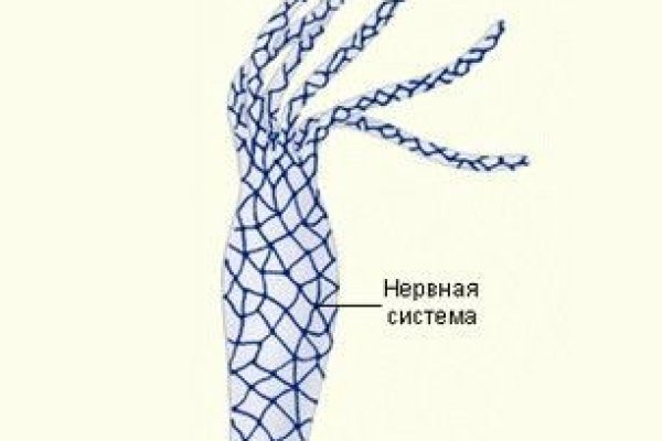 Кракен что можно купить
