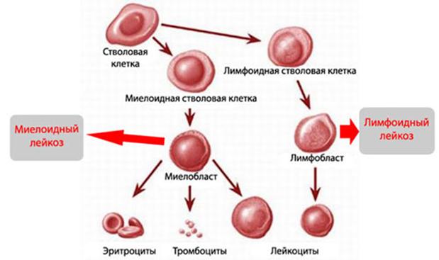 Кракен даркнет только через