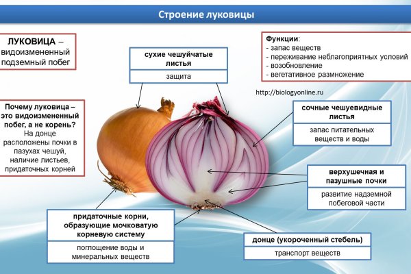 2krn cc кракен